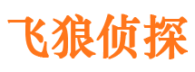 南海外遇出轨调查取证